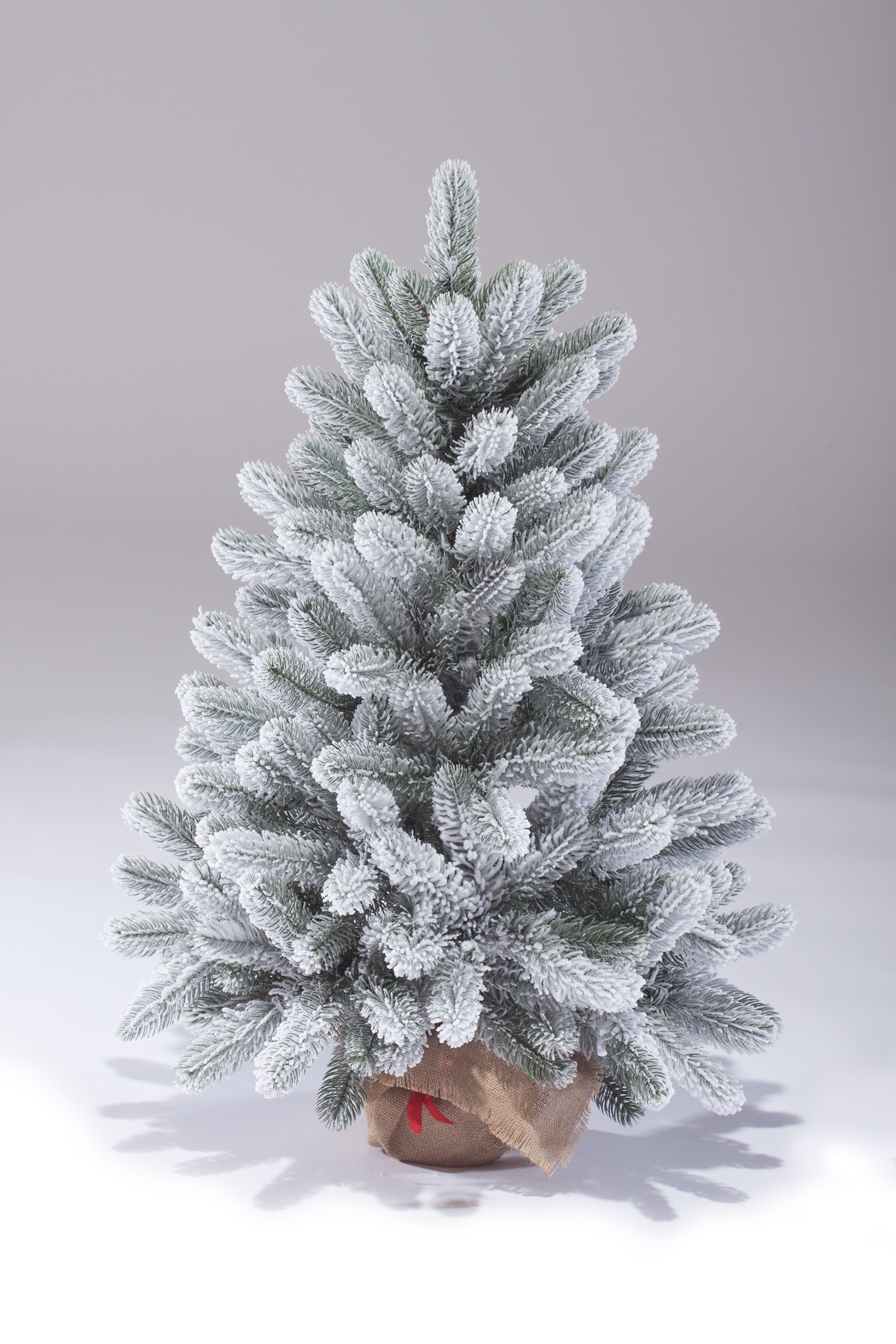 фото Ель Русская Императрица Заснеженная 60см