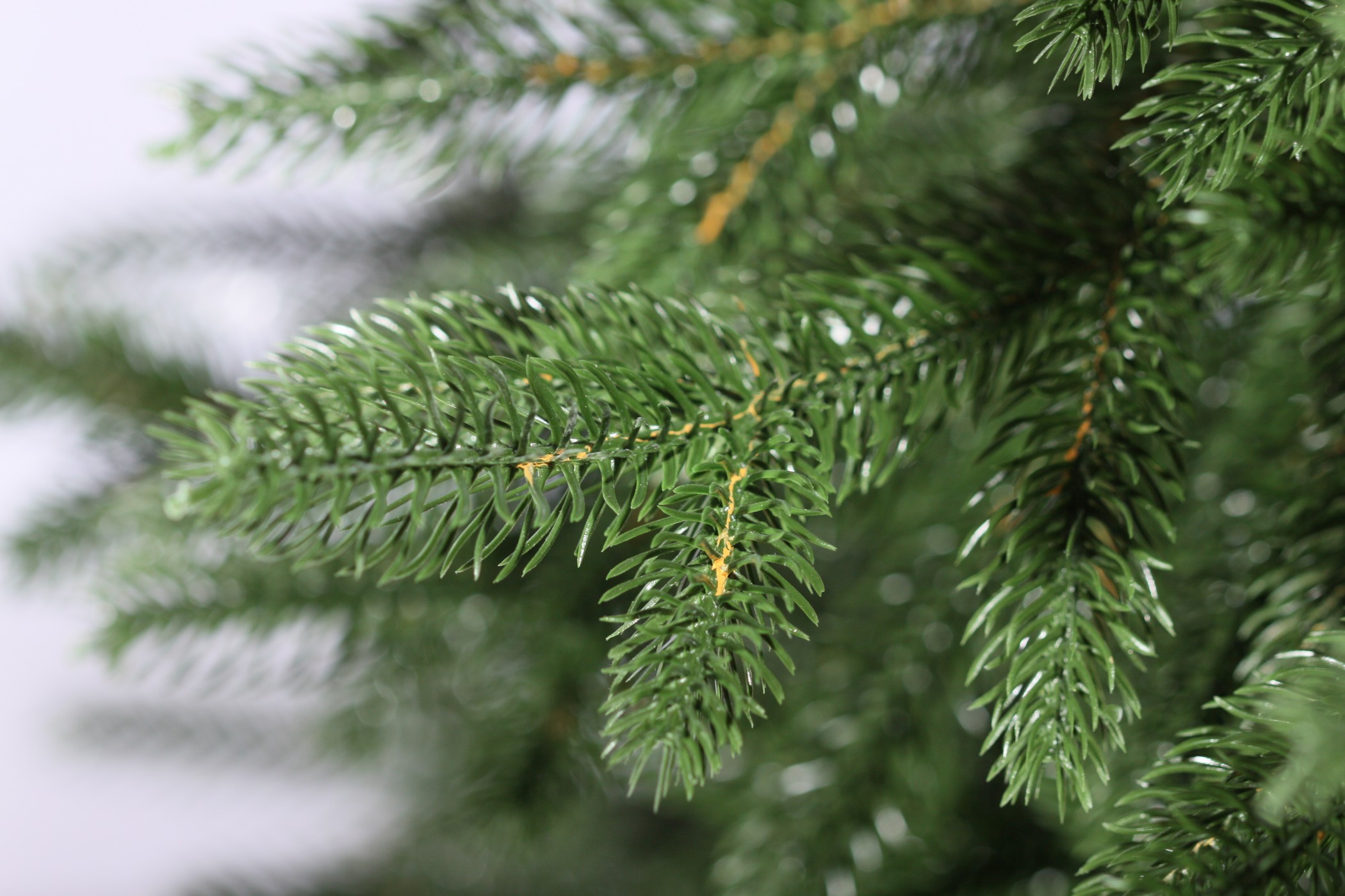 фото Ель Моника 180см