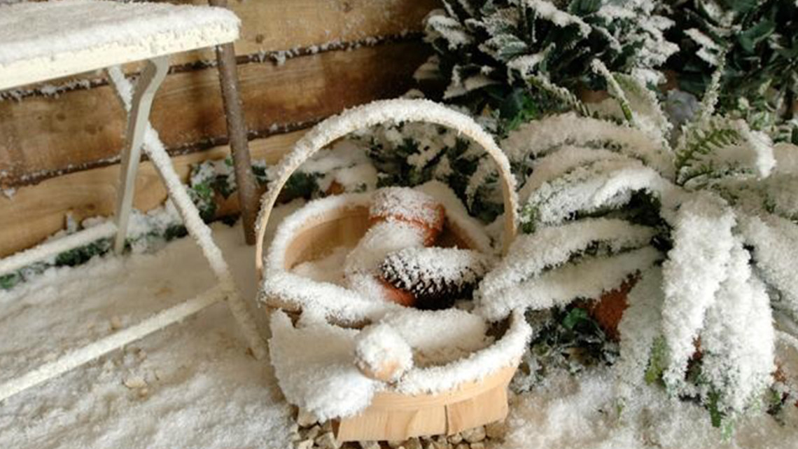 фото Искусственный снег SANTA SNOW NIEVE 368 гр, арт 90506