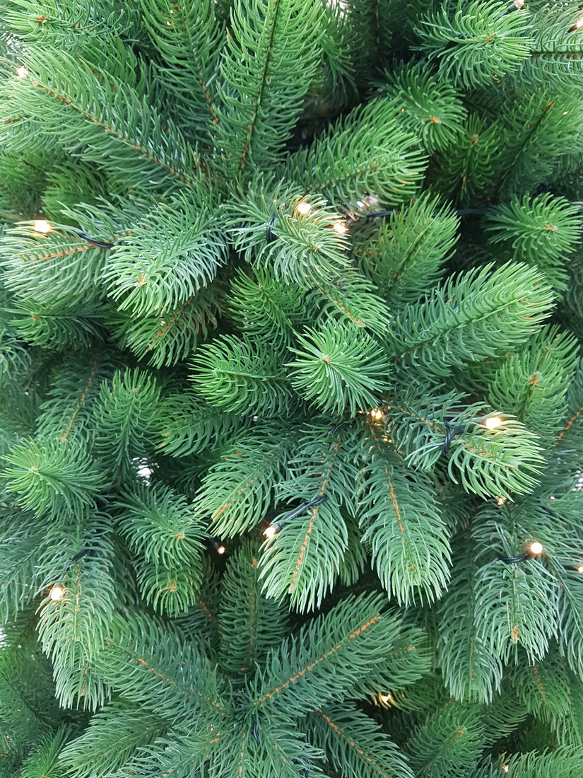 фото Ель Русская Императрица Премиум с освещением 60см