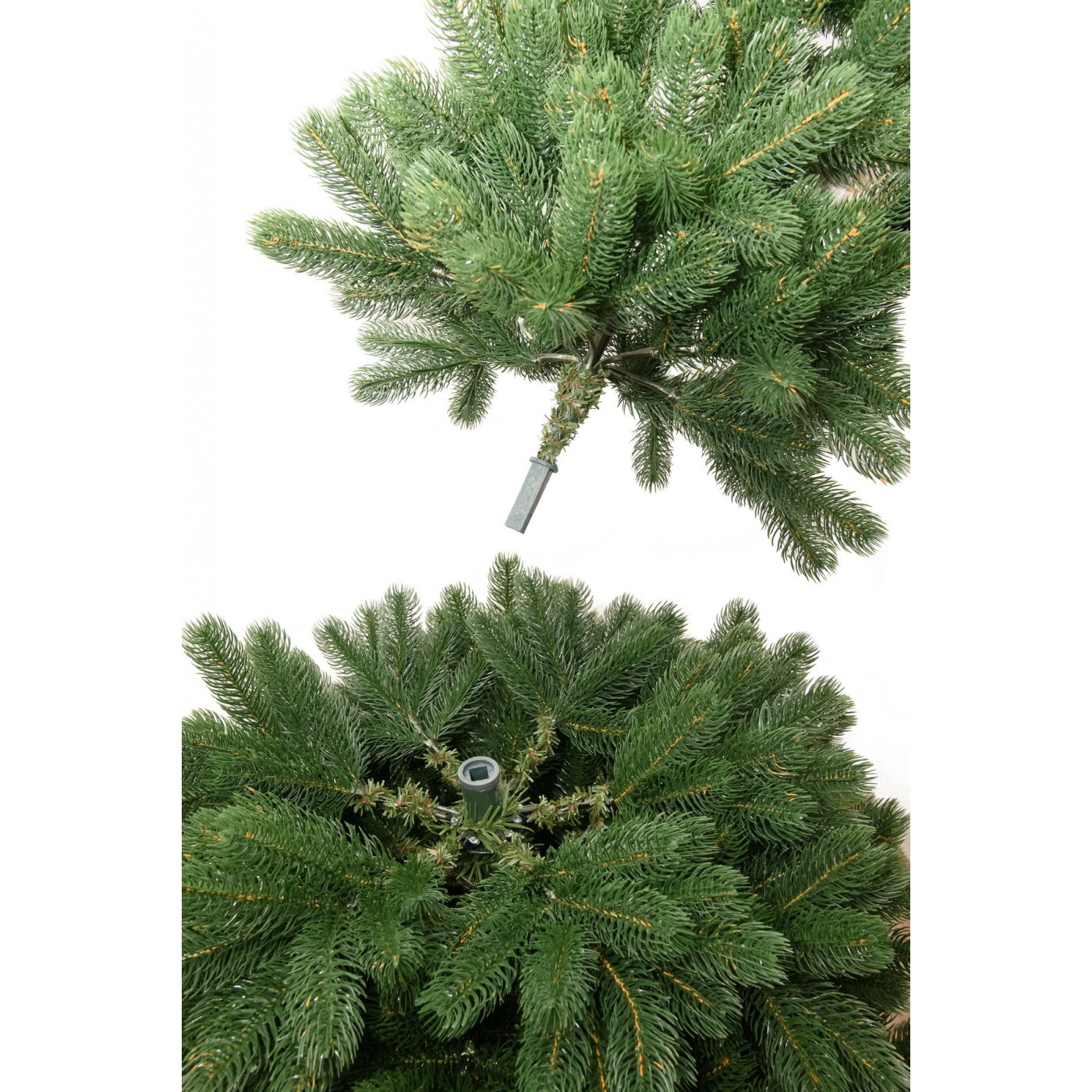 фото Ель Вега 270см