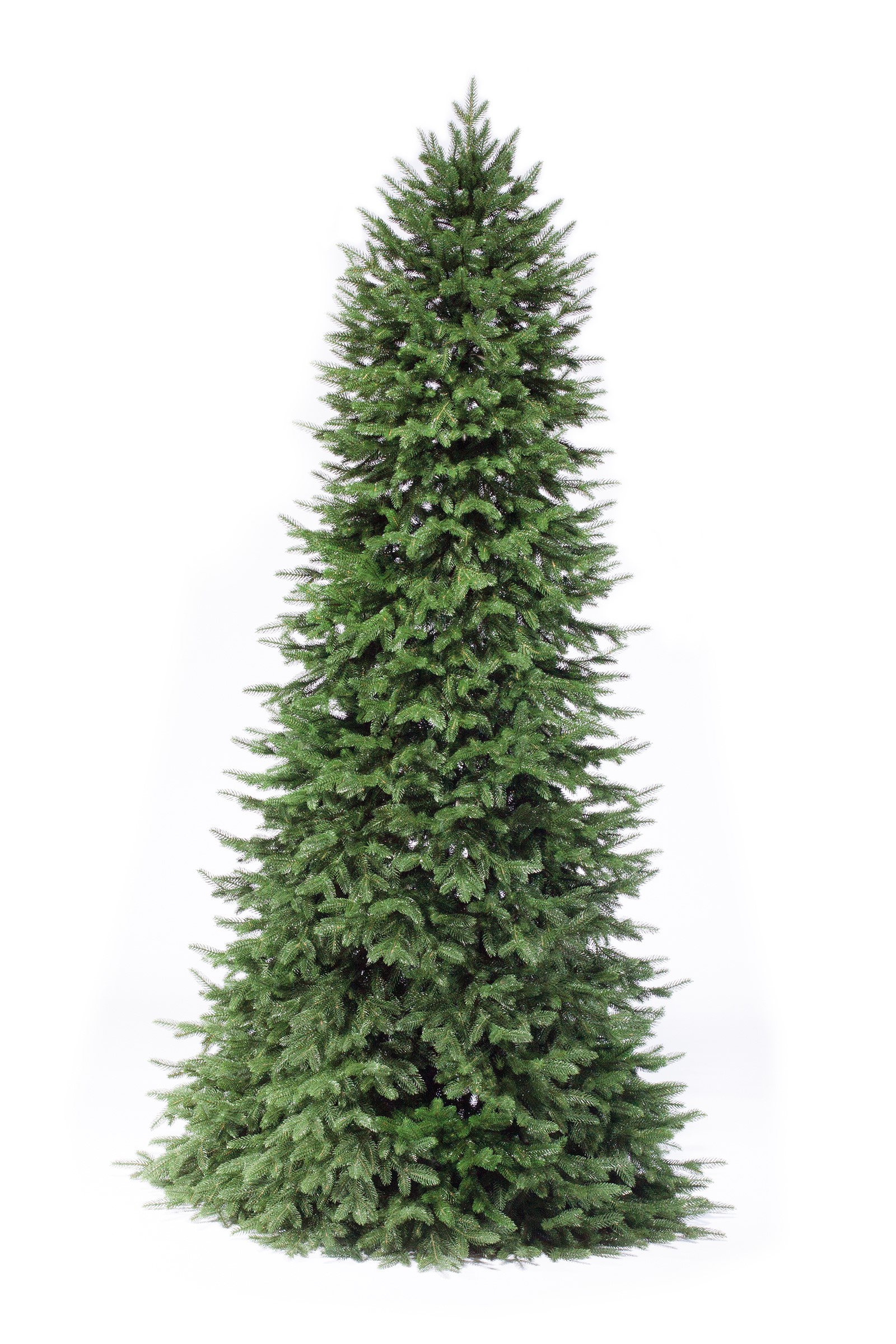 фото Ель Моника 180см